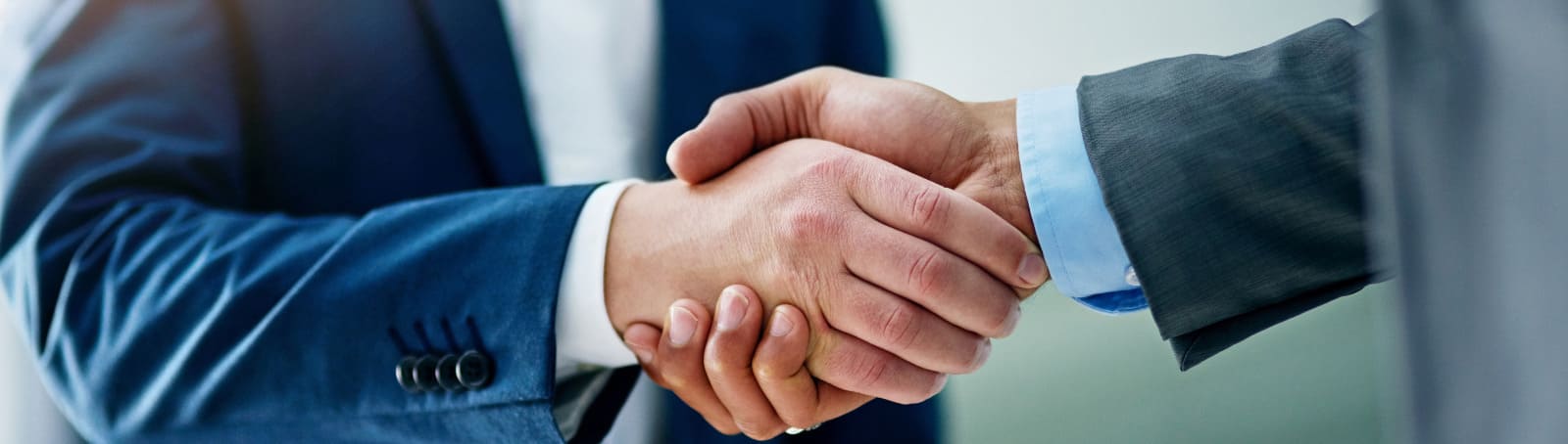 The Role of Generalists in Strengthening Organizations: Insights from Pimaccounting”